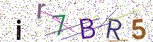 CAPTCHA con immagine